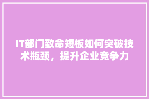 IT部门致命短板如何突破技术瓶颈，提升企业竞争力 项目报告