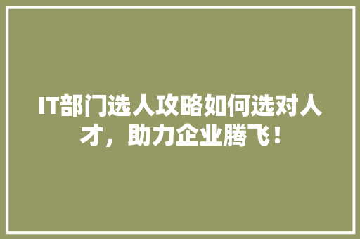 IT部门选人攻略如何选对人才，助力企业腾飞！ 网站建设