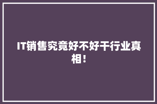 IT销售究竟好不好干行业真相！ 市场营销范文