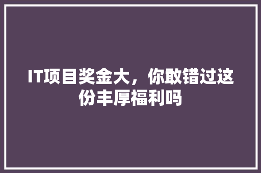 IT项目奖金大，你敢错过这份丰厚福利吗