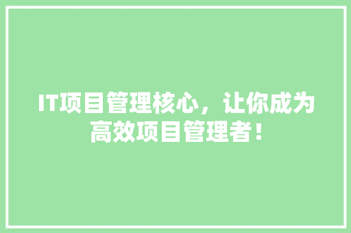 IT项目管理核心，让你成为高效项目管理者！ 项目报告