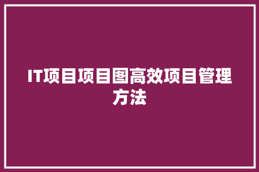 IT项目项目图高效项目管理方法