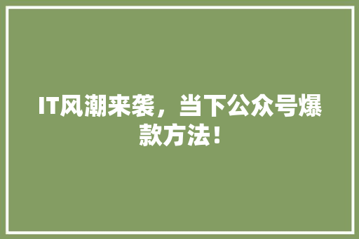 IT风潮来袭，当下公众号爆款方法！ 缓存Redis