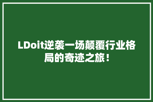 LDoit逆袭一场颠覆行业格局的奇迹之旅！ 后端技术