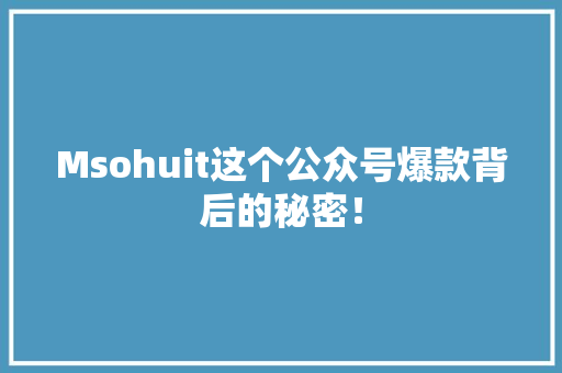 Msohuit这个公众号爆款背后的秘密！ 项目报告