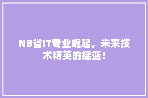NB省IT专业崛起，未来技术精英的摇篮！ 后端技术