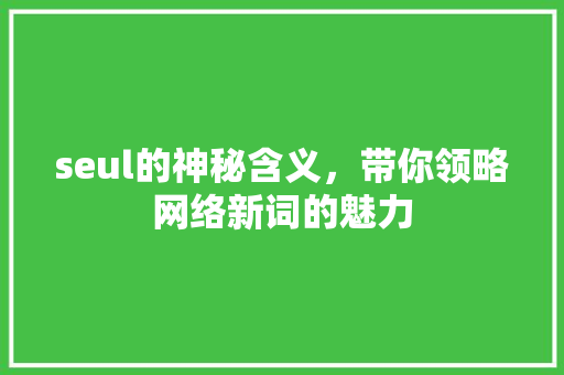 seul的神秘含义，带你领略网络新词的魅力 项目报告