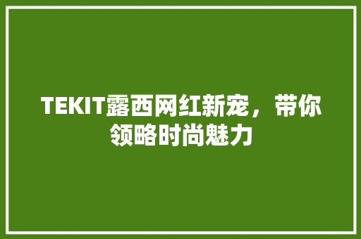 TEKIT露西网红新宠，带你领略时尚魅力 市场营销范文