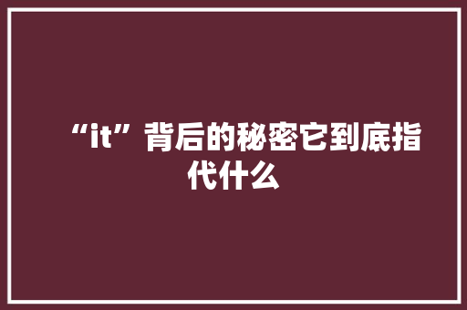 “it”背后的秘密它到底指代什么