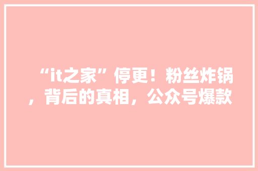 “it之家”停更！粉丝炸锅，背后的真相，公众号爆款来袭！