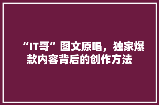 “IT哥”图文原唱，独家爆款内容背后的创作方法 响应式设计