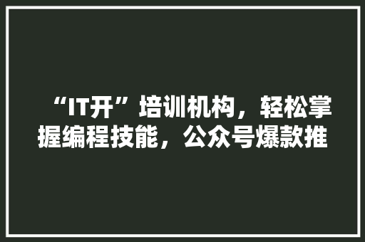 “IT开”培训机构，轻松掌握编程技能，公众号爆款推荐！ 项目报告