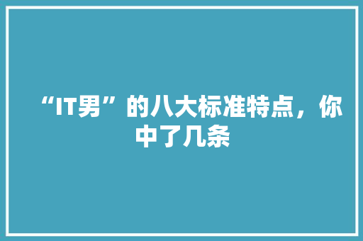 “IT男”的八大标准特点，你中了几条 项目报告
