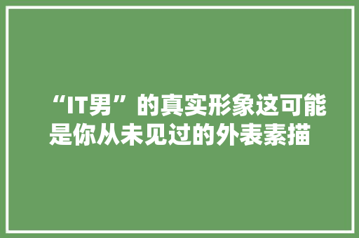 “IT男”的真实形象这可能是你从未见过的外表素描 市场营销范文
