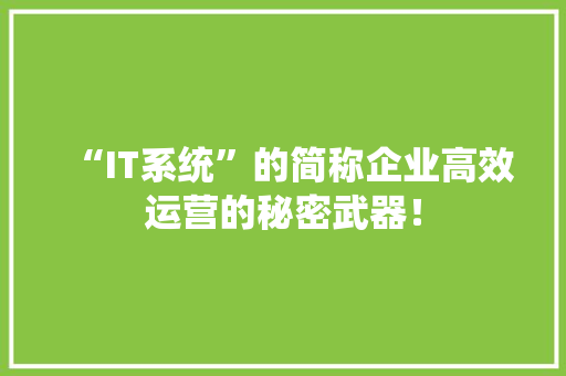 “IT系统”的简称企业高效运营的秘密武器！ 缓存Redis