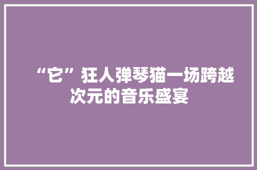 “它”狂人弹琴猫一场跨越次元的音乐盛宴 后端技术
