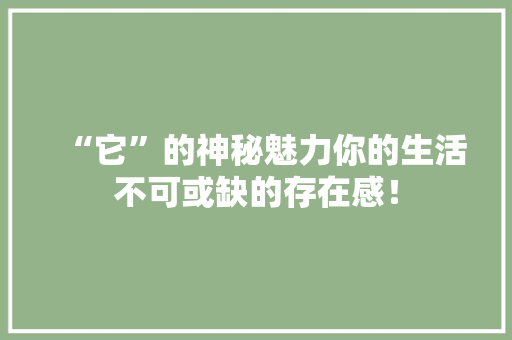 “它”的神秘魅力你的生活不可或缺的存在感！ 网站建设