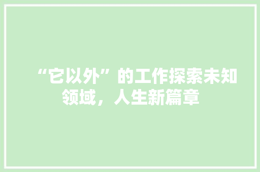 “它以外”的工作探索未知领域，人生新篇章