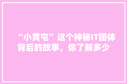 “小黄屯”这个神秘IT团体背后的故事，你了解多少 响应式设计