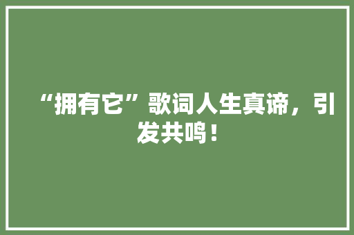 “拥有它”歌词人生真谛，引发共鸣！