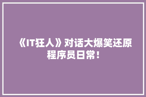 《IT狂人》对话大爆笑还原程序员日常！