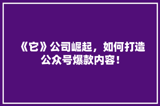 《它》公司崛起，如何打造公众号爆款内容！ 缓存Redis
