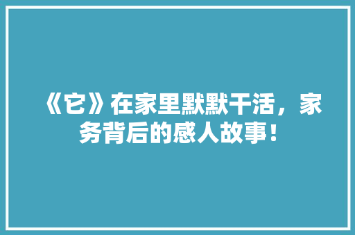 《它》在家里默默干活，家务背后的感人故事！ 前端技术