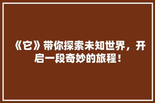 《它》带你探索未知世界，开启一段奇妙的旅程！