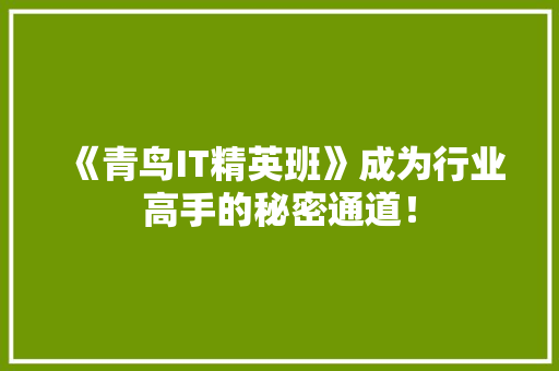 《青鸟IT精英班》成为行业高手的秘密通道！ 市场营销范文