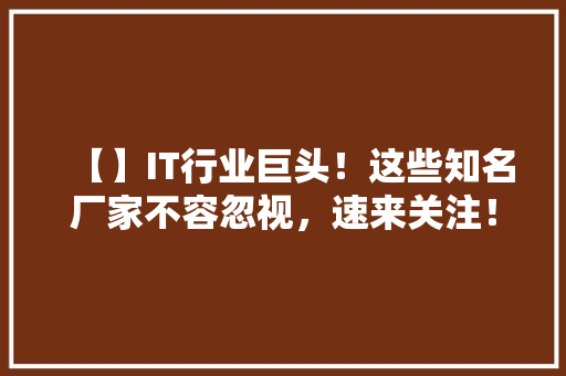 【】IT行业巨头！这些知名厂家不容忽视，速来关注！ 项目报告