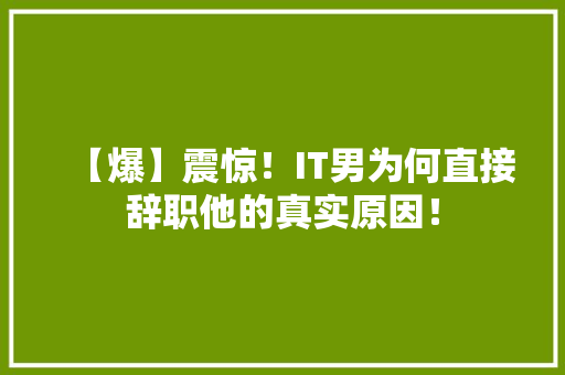 【爆】震惊！IT男为何直接辞职他的真实原因！