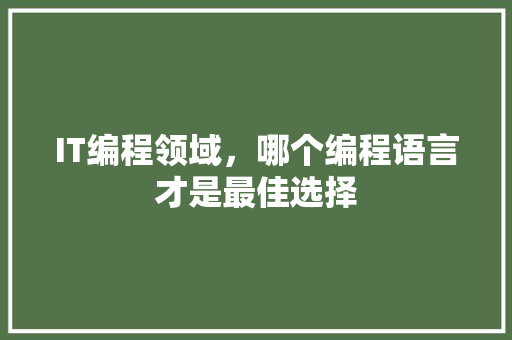 IT编程领域，哪个编程语言才是最佳选择 前端技术
