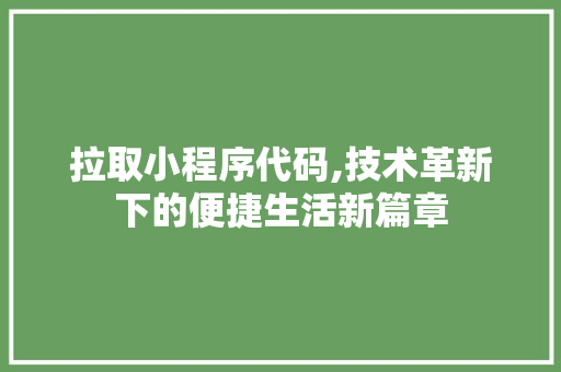 拉取小程序代码,技术革新下的便捷生活新篇章 项目报告