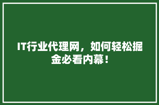 IT行业代理网，如何轻松掘金必看内幕！