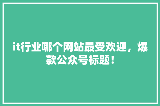 it行业哪个网站最受欢迎，爆款公众号标题！ MySQL
