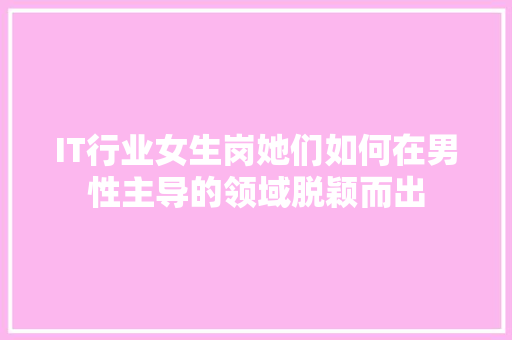 IT行业女生岗她们如何在男性主导的领域脱颖而出 项目报告