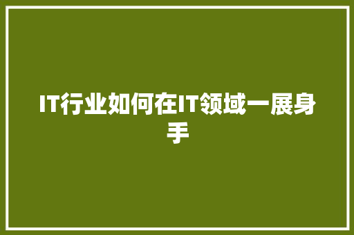 IT行业如何在IT领域一展身手 前端技术
