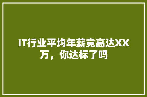 IT行业平均年薪竟高达XX万，你达标了吗 项目报告