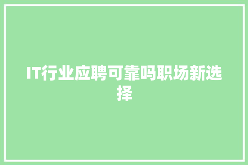 IT行业应聘可靠吗职场新选择 项目报告