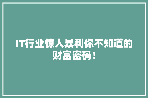 IT行业惊人暴利你不知道的财富密码！ 项目报告