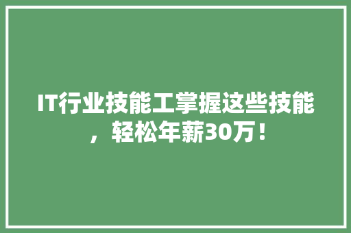 IT行业技能工掌握这些技能，轻松年薪30万！ 项目报告