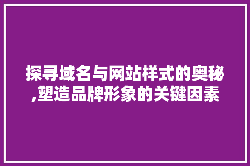 探寻域名与网站样式的奥秘,塑造品牌形象的关键因素 前端技术