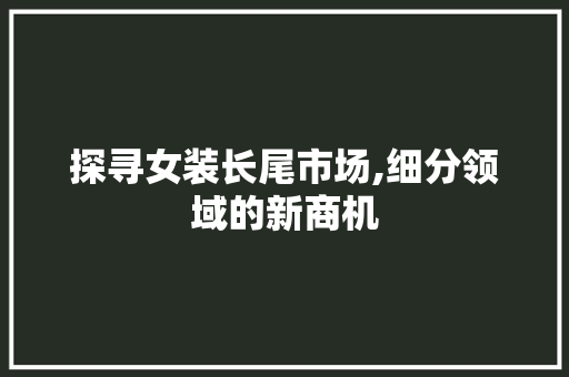 探寻女装长尾市场,细分领域的新商机 前端技术