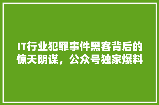 IT行业犯罪事件黑客背后的惊天阴谋，公众号独家爆料！