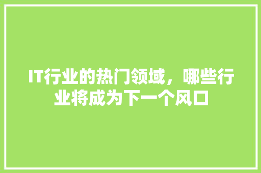 IT行业的热门领域，哪些行业将成为下一个风口 项目报告