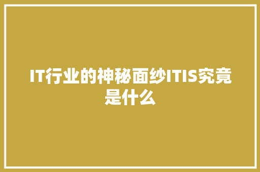 IT行业的神秘面纱ITIS究竟是什么 项目报告