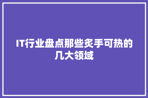 IT行业盘点那些炙手可热的几大领域 项目报告