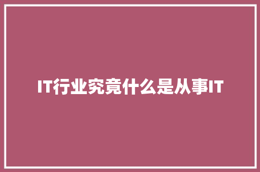 IT行业究竟什么是从事IT 网站建设