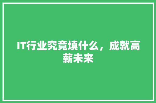 IT行业究竟填什么，成就高薪未来 项目报告