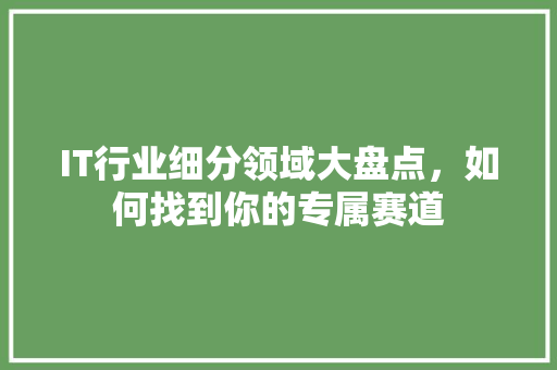 IT行业细分领域大盘点，如何找到你的专属赛道 前端技术